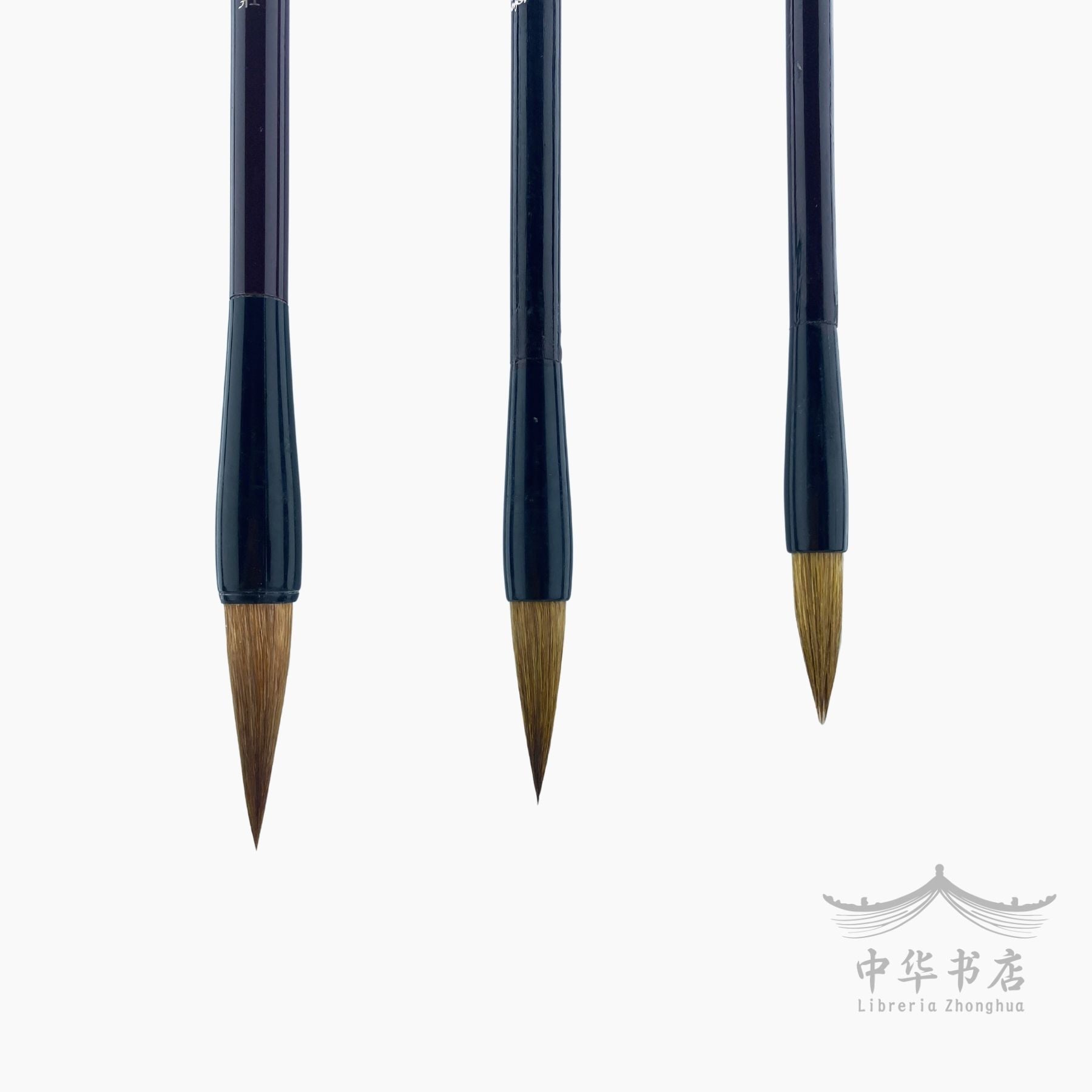 Caligrafía y pintura