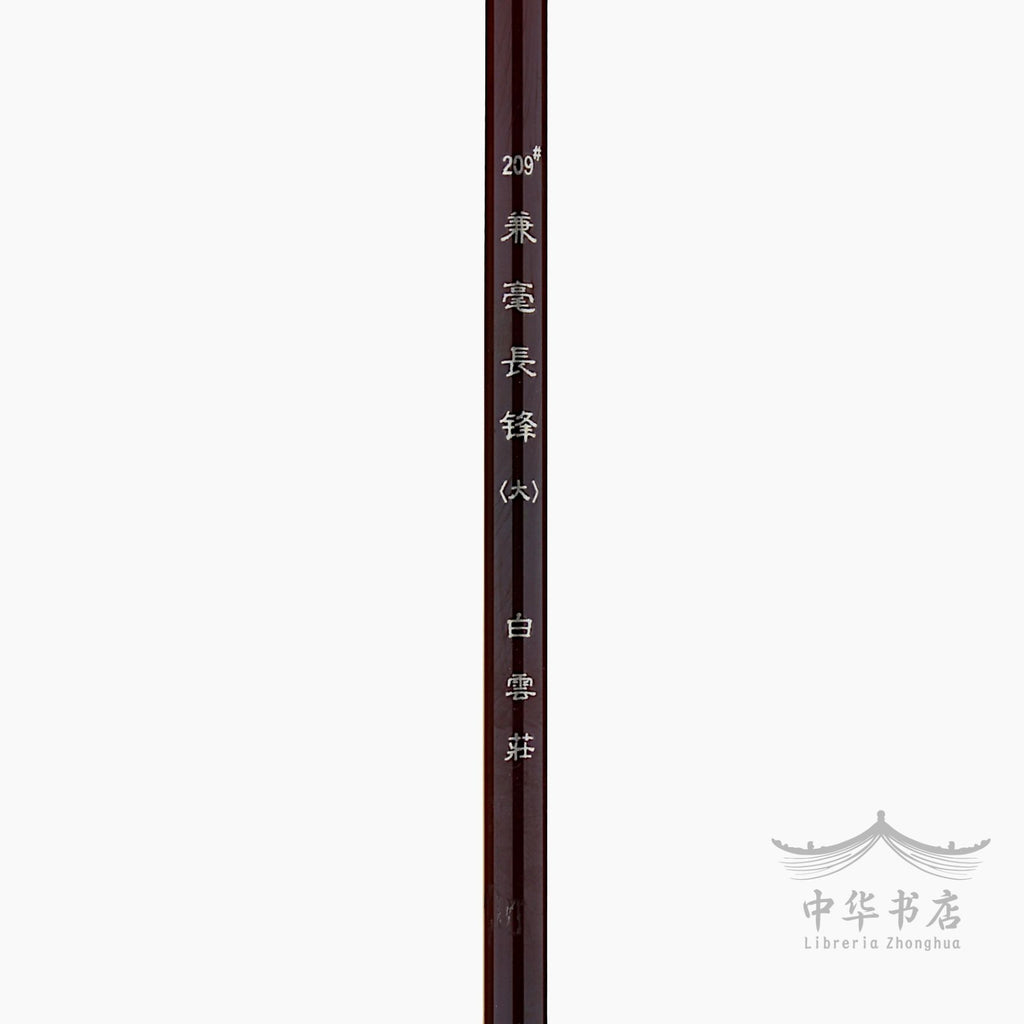 #209 Pincel Jianhao - Pelo combinado - Grande