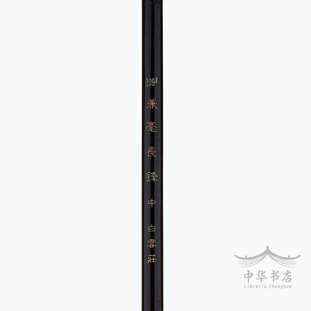 #209 Pincel Jianhao - Pelo combinado - Mediano