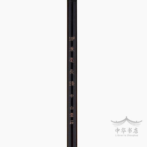 #209 Pincel Jianhao - Pelo combinado - Mediano