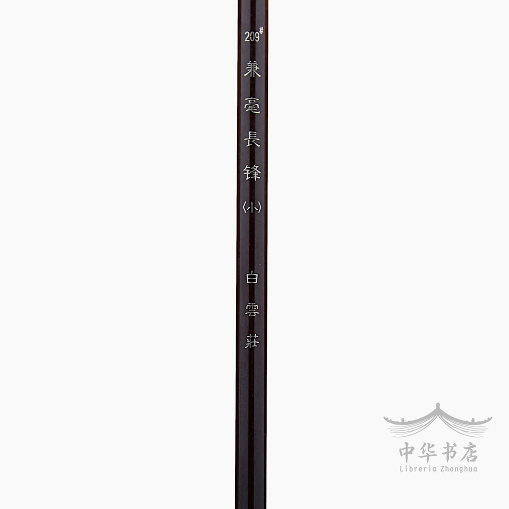 #209 Pincel Jianhao - Pelo combinado - Pequeño